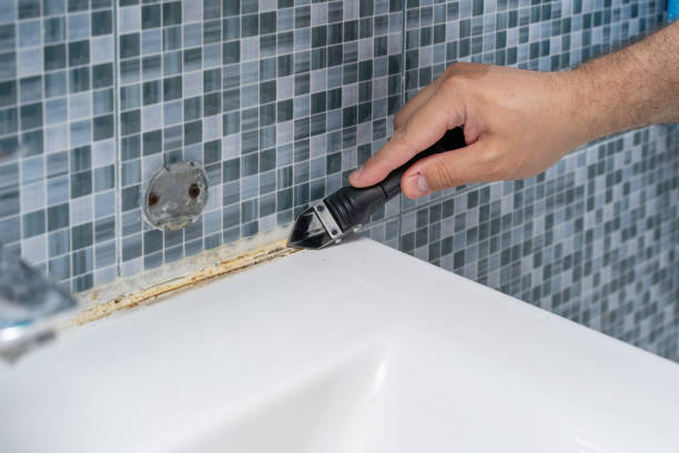 Best Mold Remediation  in Mill Creek, WA