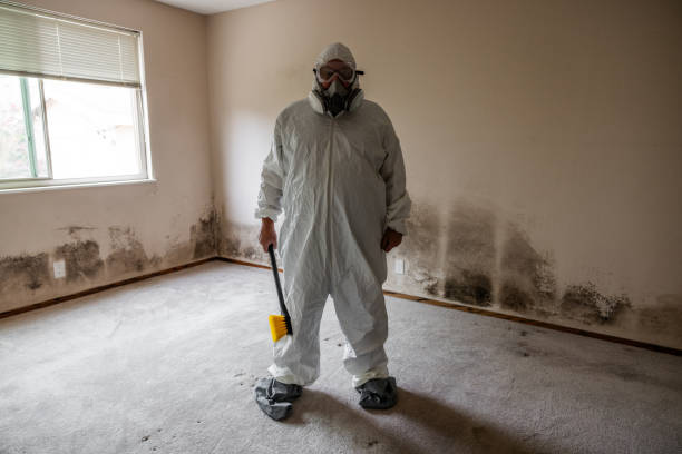 Best Residential Mold Removal  in Mill Creek, WA